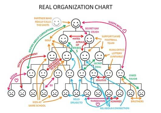 Real Organization Chart